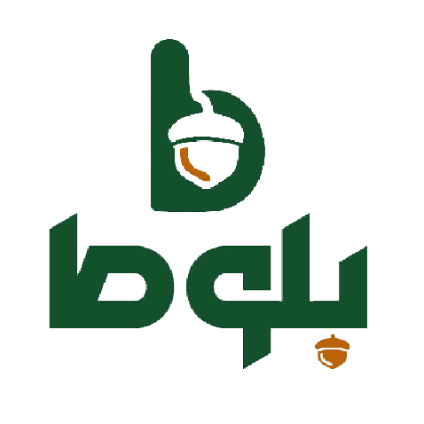 کد تخفیف بلوط مد